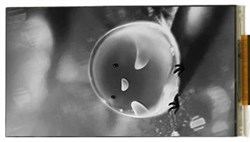 Экран LCD 2k 5.5 MONO 1715