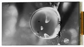 Экран LCD 2k 5.5 MONO 1715