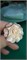 Фотополимер JEWELRY WAX 1900